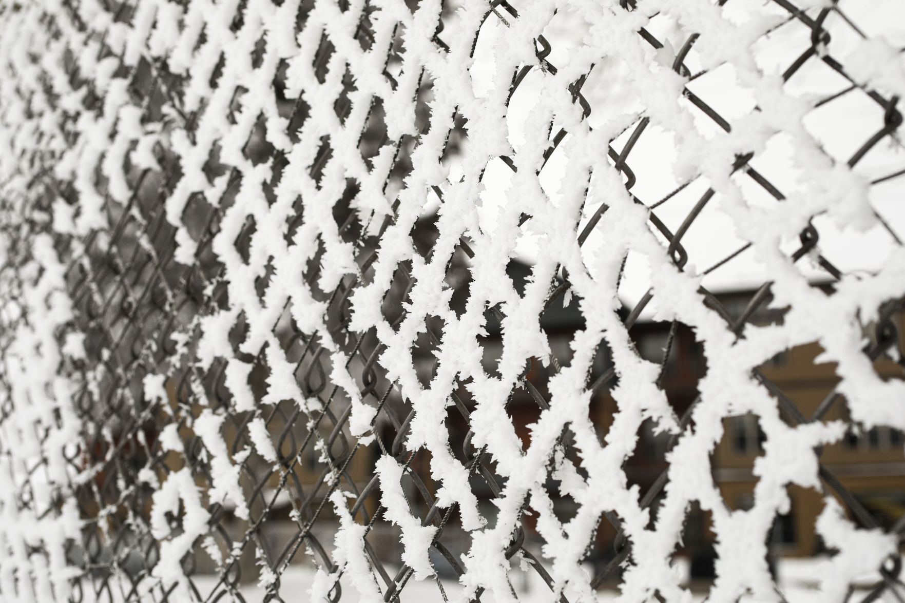 Rime Ice 010420 09-01042021170352